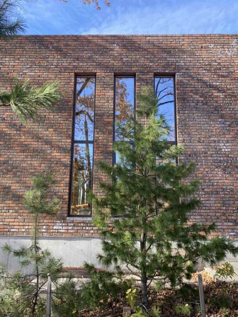 FENSTER #104